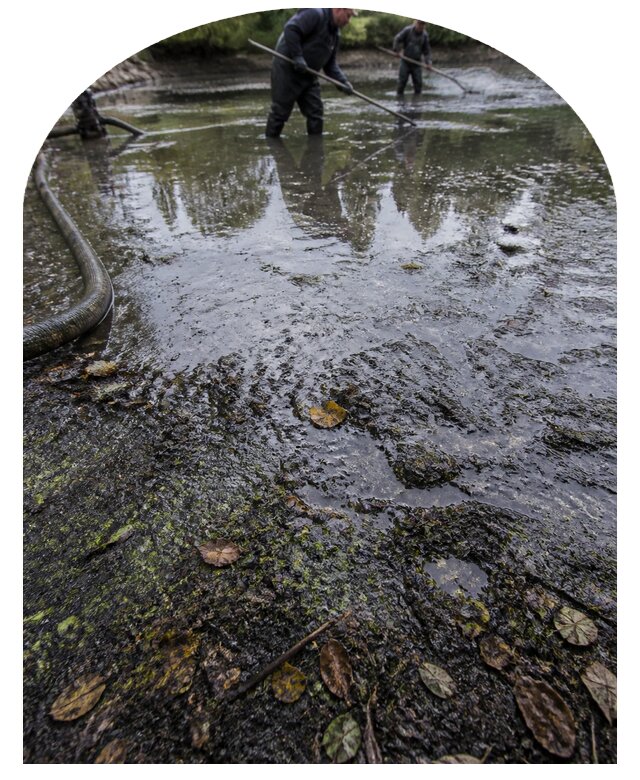 Очистка пруда в Ижевске от ила мусора и водорослей с вывозом